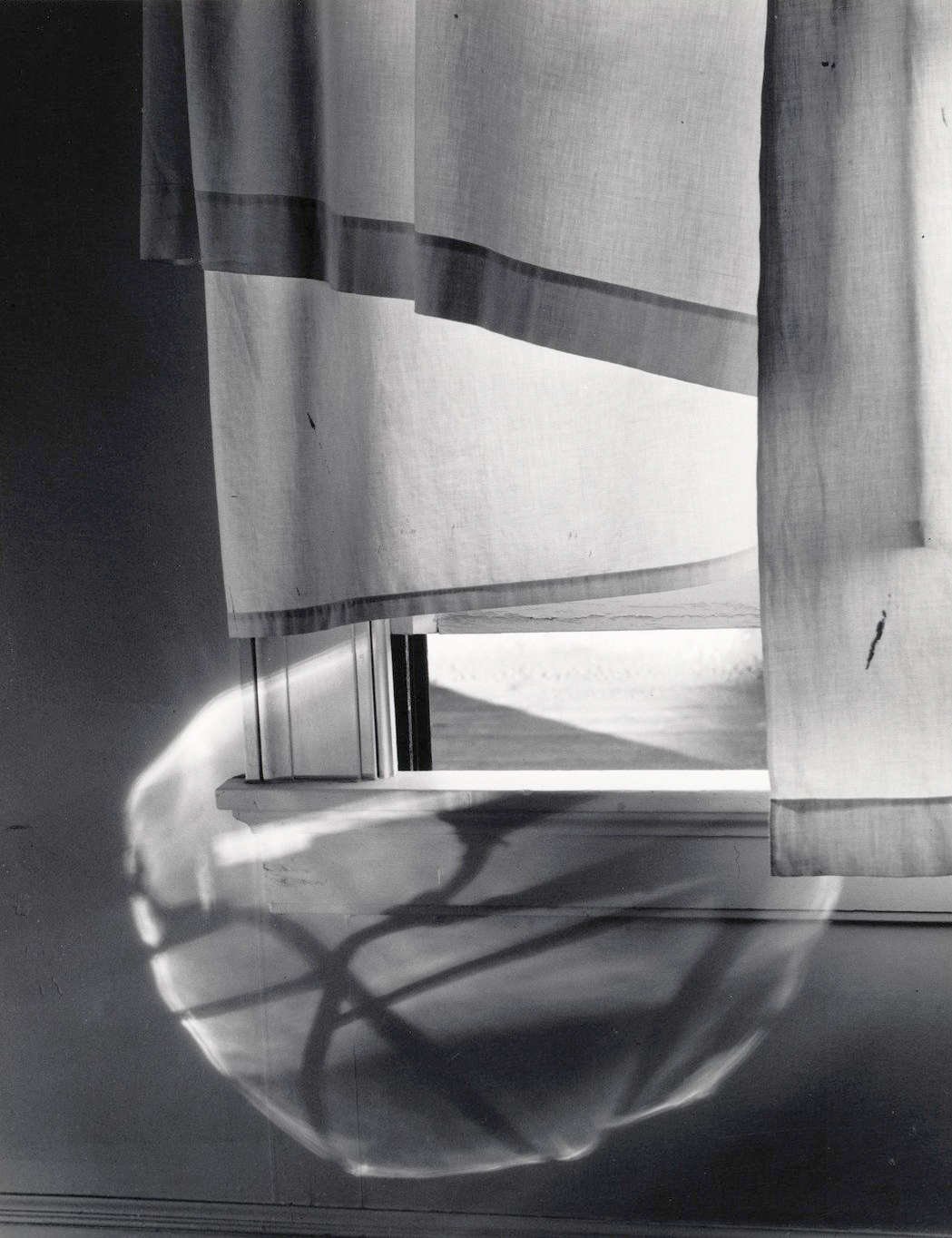Windowsill Daydreaming,  Minor White, 1958