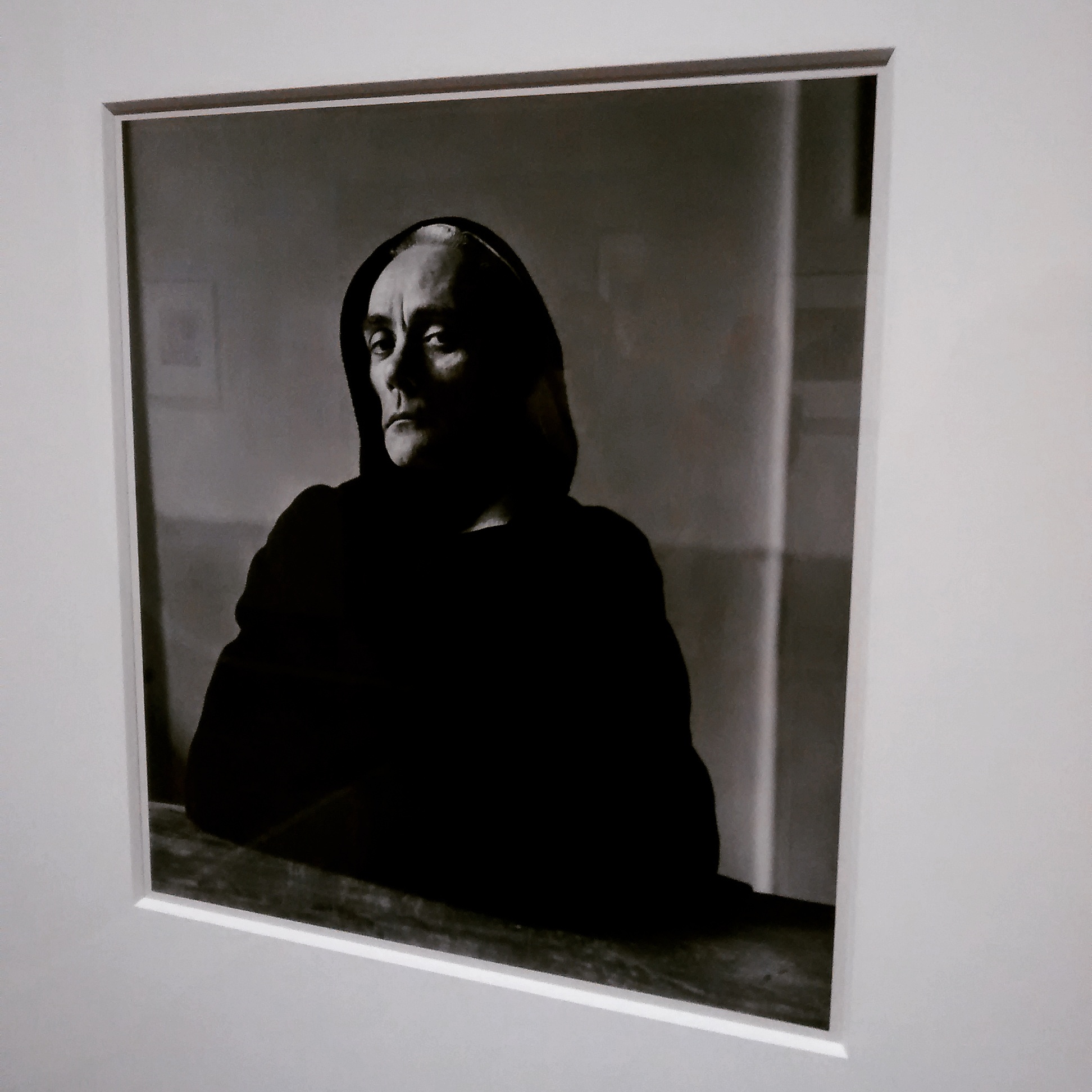 Irving Penn: Centennial at The Metropolitan Museum of Art