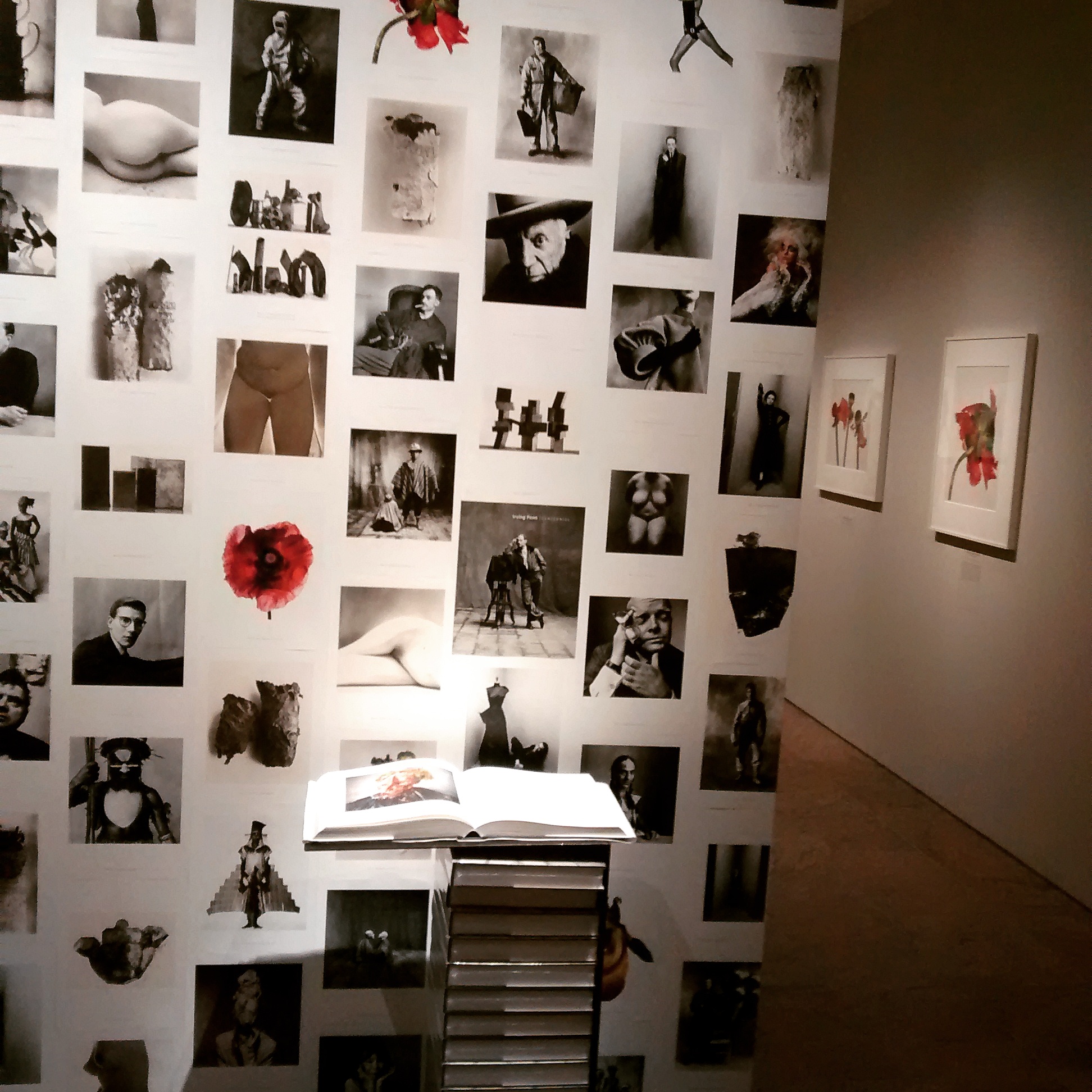 Irving Penn: Centennial at The Metropolitan Museum of Art