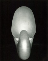 Shell, Edward Weston, 1927 - '...the reaction to the first shells was surprise and dismay. Many people, including Rivera, thought them phallic. As the close-ups grew more subtle and powerful they struck beholders with the force of a revelation.' - Nancy Newhall Shell, Edward Weston, 1927