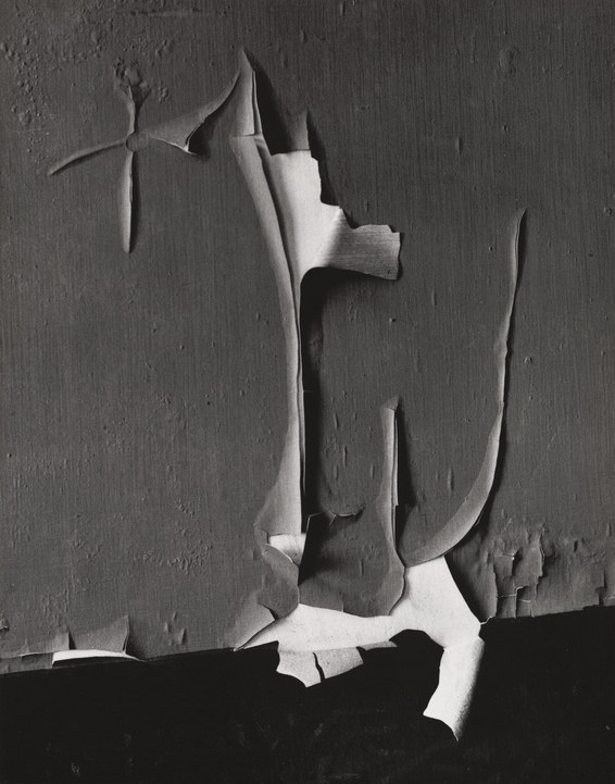 Pealed Paint, 1959, Minor White